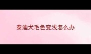 泰迪犬毛色变浅怎么办