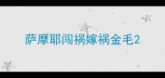 萨摩耶闯祸嫁祸金毛