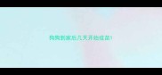 狗狗到家后几天开始疫苗