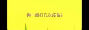狗一般打几次疫苗