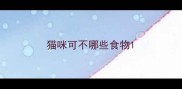 猫咪可不哪些食物
