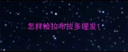 怎样给拉布拉多理发