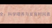 拉布拉多犬成长全科学喂养与发育时间表附饲养指南