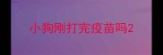 小狗刚打完疫苗吗