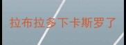 拉布拉多下卡斯罗了