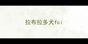 拉布拉多犬fci