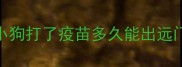 小狗打了疫苗多久能出远门