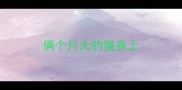 俩个月大的猫身上