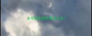 金毛掉毛很厉害怎么办