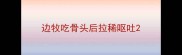 边牧吃骨头后拉稀呕吐