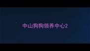 中山狗狗领养中心