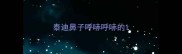 泰迪鼻子呼哧呼哧的
