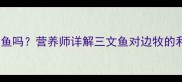 边境牧羊犬能吃三文鱼吗营养师详解三文鱼对边牧的利弊及正确喂养指南