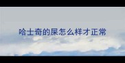 哈士奇的屎怎么样才正常
