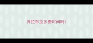 养拉布拉多费时间吗