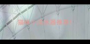 猫咪小活水器推荐