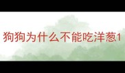 狗狗为什么不能吃洋葱