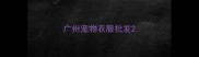 广州宠物衣服批发