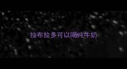 拉布拉多可以喝纯牛奶