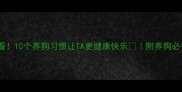 新手必看10个养狗习惯让TA更健康快乐附养狗必备清单