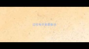 边牧每天都要散步