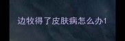 边牧得了皮肤病怎么办