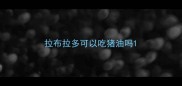 拉布拉多可以吃猪油吗