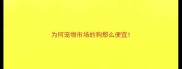 为何宠物市场的狗那么便宜