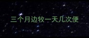 三个月边牧一天几次便