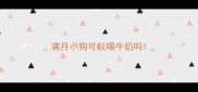 满月小狗可以喝牛奶吗