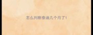 怎么判断泰迪几个月了