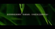 洛阳狗狗疫苗推荐权威指南价格医院注意事项全