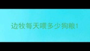 边牧每天喂多少狗粮