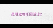 昆明宠物乐园游泳