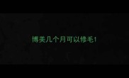 博美几个月可以修毛