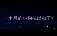 一个月的小狗拉出虫子
