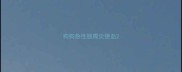 狗狗急性肠胃炎便血