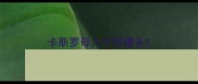 卡斯罗母几个月爆头