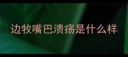 边牧嘴巴溃疡是什么样