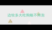 边牧多大吃狗粮不用泡