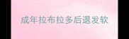 成年拉布拉多后退发软