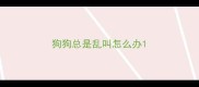 狗狗总是乱叫怎么办