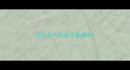 边牧天气热就尽量喝水