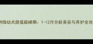 雪纳瑞幼犬颜值巅峰期1-12月分龄美容与养护全攻略