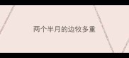 两个半月的边牧多重