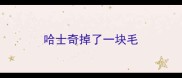 哈士奇掉了一块毛
