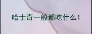 哈士奇一般都吃什么