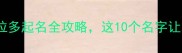 推荐黑色拉布拉多起名全攻略这10个名字让爱犬更受欢迎