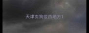 天津卖狗疫苗地方