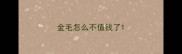 金毛怎么不值钱了